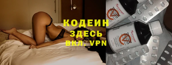 стаф Вязьма