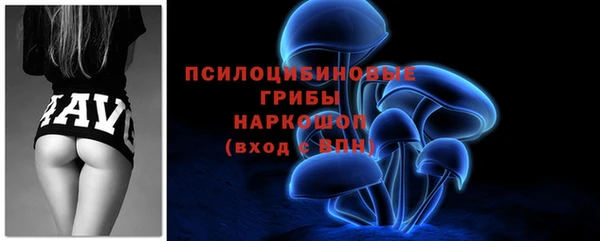 первитин Гусев