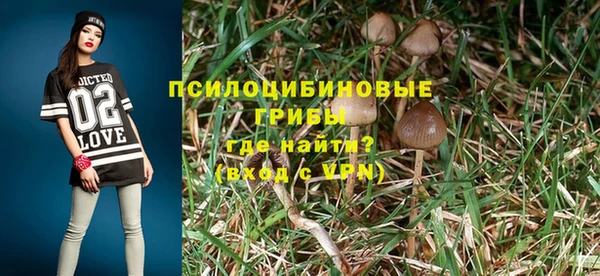 альфа пвп Горняк
